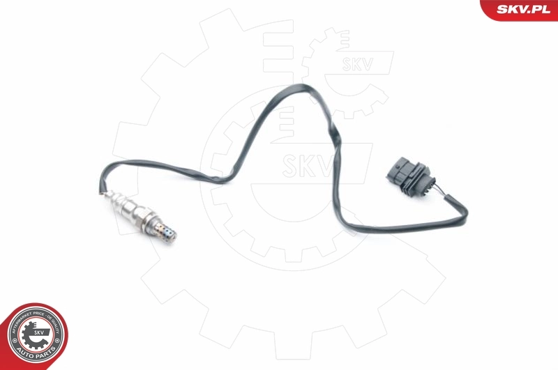Oxygen Sensor
